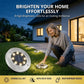 Luzes solares de solo com 8 LEDs para jardins exteriores