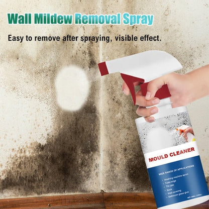 🧼 COMPRE 5 GANHE 5 GRÁTIS! ✨ Spray de espuma para remoção de mofo e bolor - ação instantânea, penetração profunda e evita o crescimento 🚿