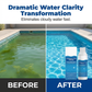 💧 Líquido purificador para piscina – água cristalina, sem esforço! ✨ Diga adeus à água verde e aos produtos químicos agressivos – desfrute de um mergulho saudável e natural sempre. 🏊‍♂️💙