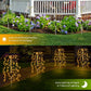 Luzes solares de jardim para decoração exterior
