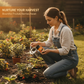 Fertilizante para plantas de frutos e bagas