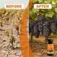 Fertilizante para plantas de frutos e bagas